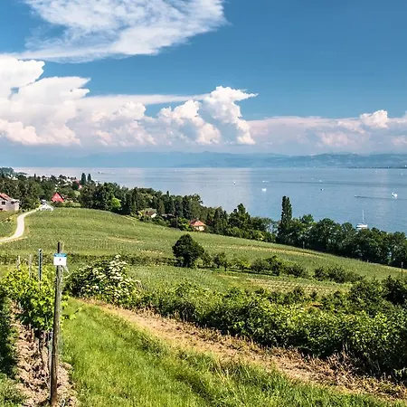 Szálloda Guter Tropfen 3*